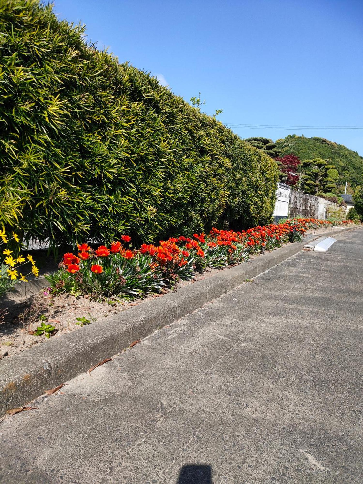 Gasthaus 玉の浦sea Nachikatsuura Exterior foto